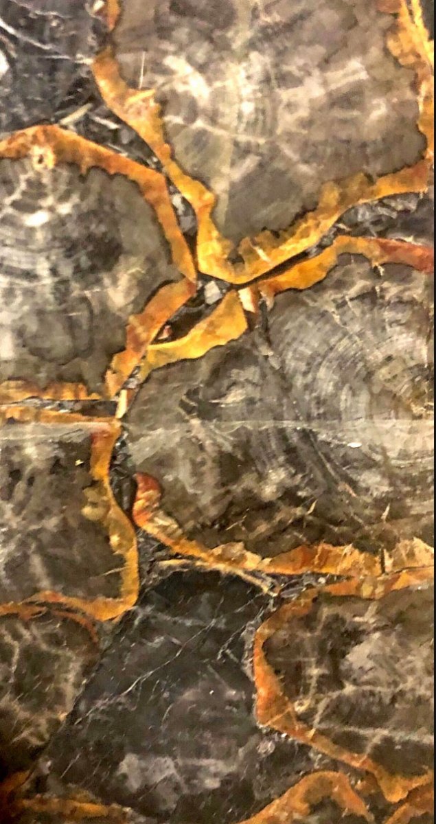 Dark petrified wood